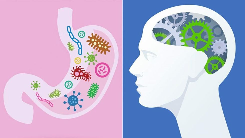 The Key To A Potential Treatment For MS Is Living In Our Gut