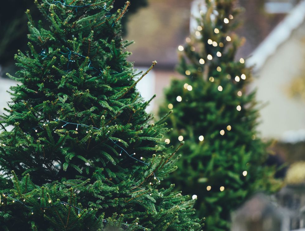 5 Things That Will Get You In The Holiday Spirit