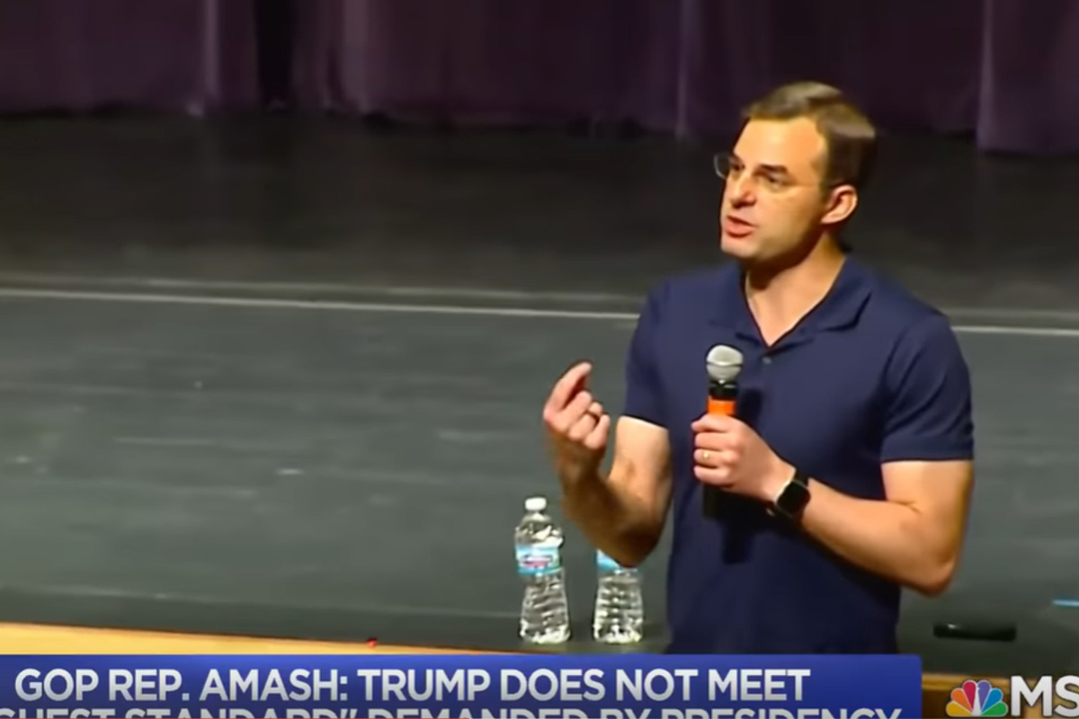 Should Justin Amash Bring His Big Guns (Hot Arms) To The Senate's Impeachment Trial?