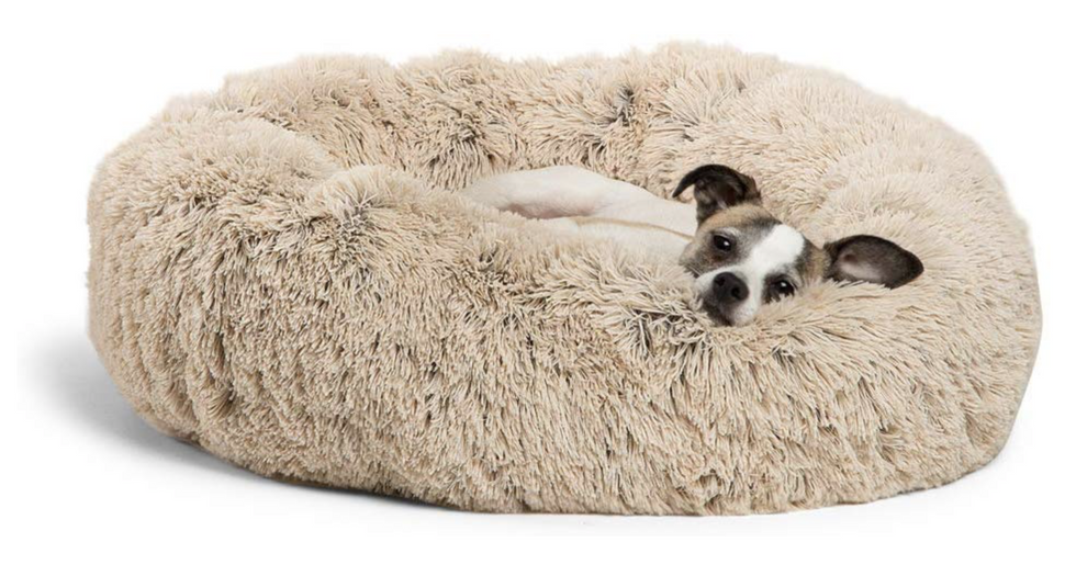 8 Of Amazon S Coziest Items For The Ultimate Night In Upworthy 8 Of Amazon S Coziest Items For The Ultimate Night In Upworthy