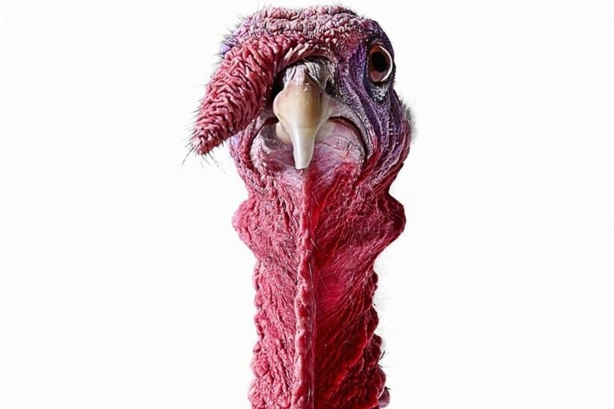 Thanksgiving Playlist