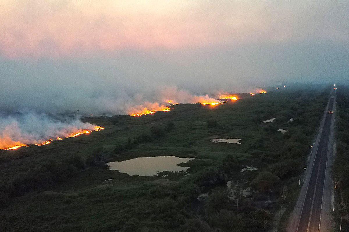 «Roghi appiccati dalla Ong pro Amazzonia»