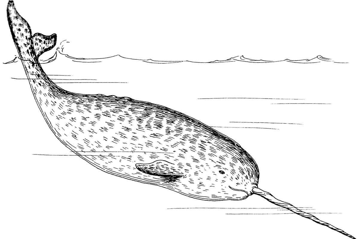 London Bridge Terrorist Taken Down By Narwhal Tusk And Fire Extinguisher-Wielding Bystanders