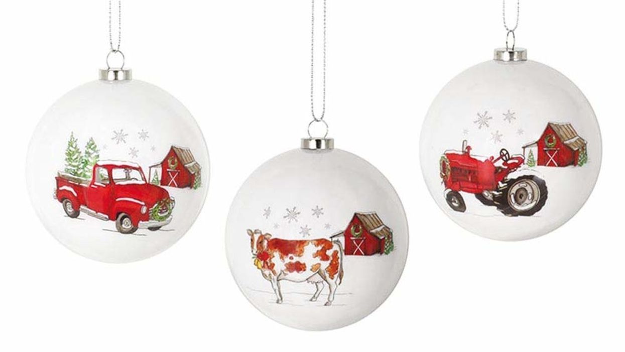 12 Christmas ornaments that can't get any more Southern