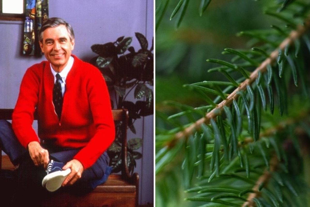 Hallmark asked Fred Rogers to create a holiday display. His design was peak Mr. Rogers