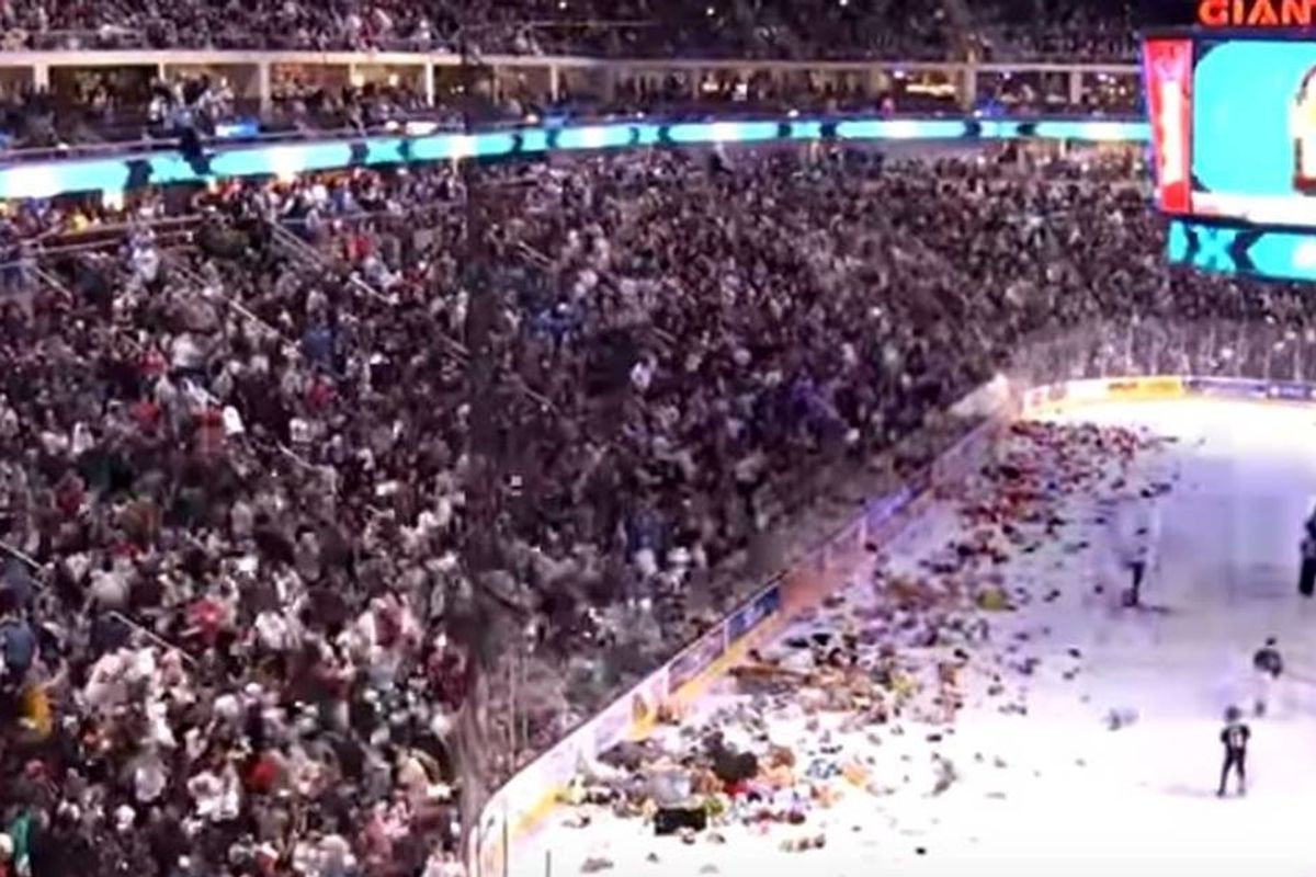 Watch as over 45,000 stuffed animals are thrown onto the ice in a record-breaking 'Teddy Toss'