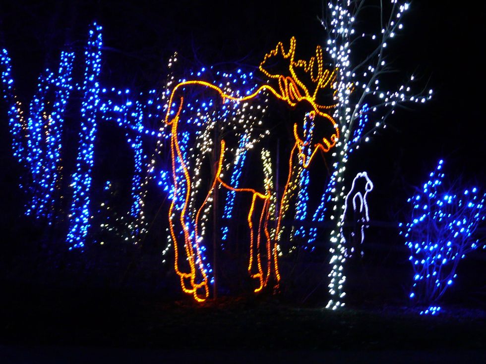 The Best Christmas Lights Displays In Ohio
