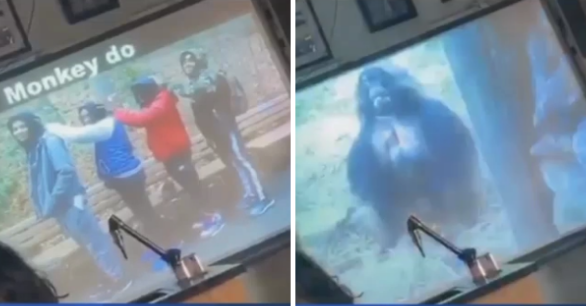 Parents Outraged After New York High School Teacher Compares Black Students To Monkeys In Field Trip Slideshow