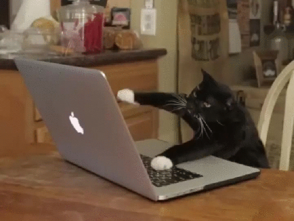 3 Ways Your Cat Asks For Help, Or Else Not That. Tabs, Fri., Jan. 10, 2020
