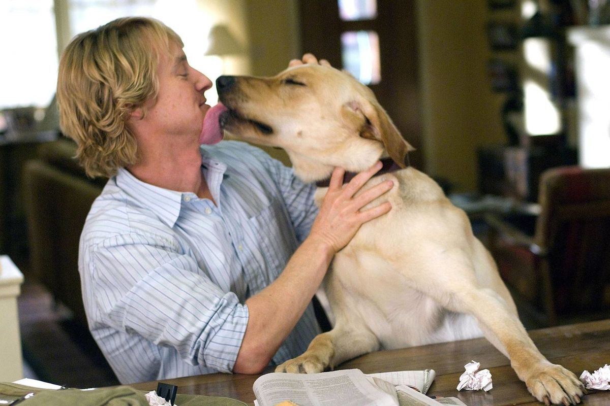 best dog scenes