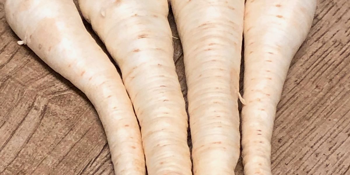 parsley root puree My Recipe Magic