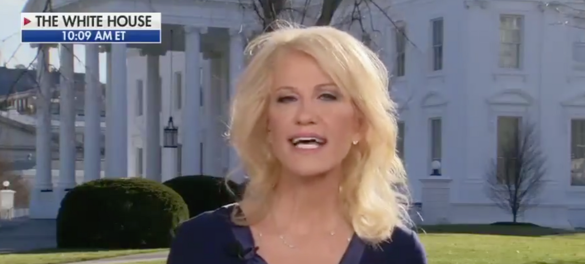 Fox News Host Presses Kellyanne Conway on Lev Parnas's Claim That Trump Knew Everything, and It Did Not Go Well