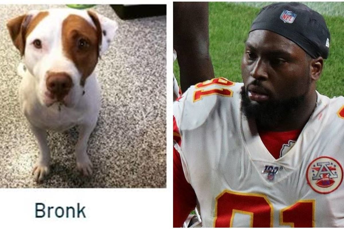 Chiefs player celebrates Super Bowl victory by paying adoption fees for over 100 shelter dogs