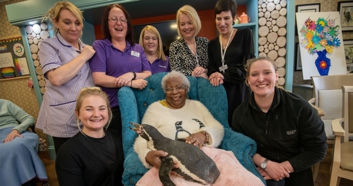 85-Year-Old Woman Delighted After Her 'Greatest Wish' Is Granted With Surprise Visit From Penguins