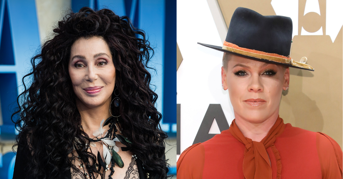 Cher Is Begging P!nk To Rewrite Her Song 'Dear Mr. President' As An Epic Takedown Of Trump
