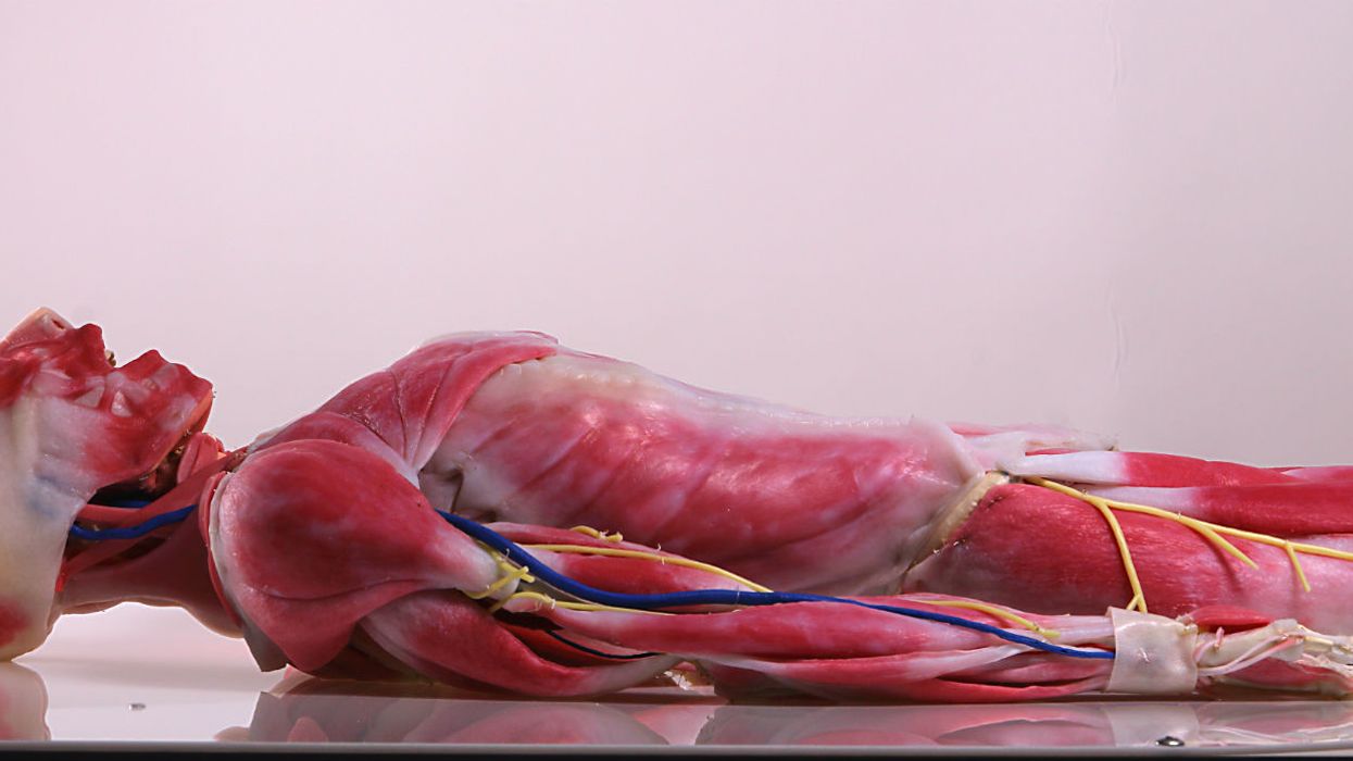 There's a cadaver factory in Florida that makes lifelike bodies that breathe and bleed