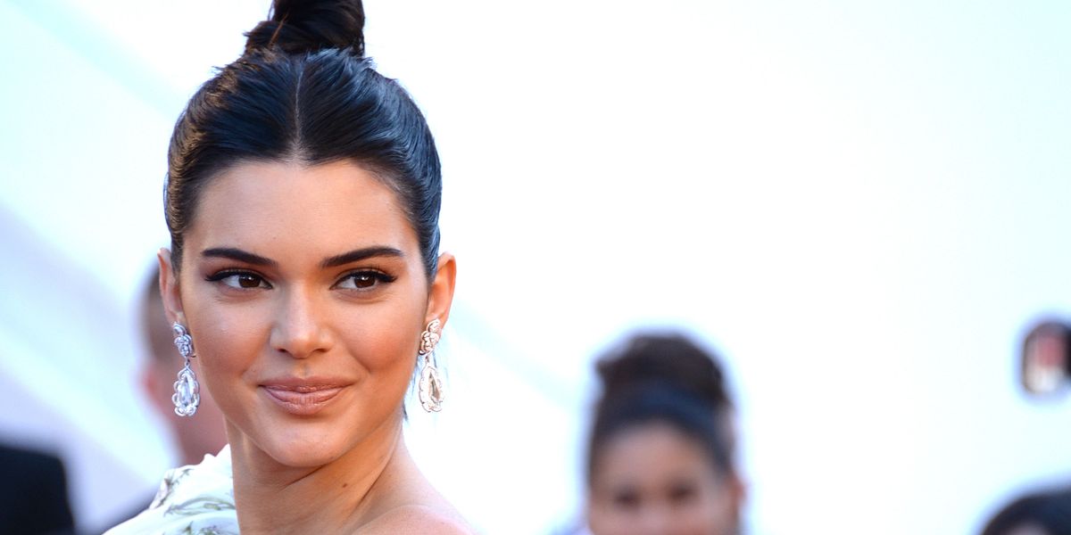Kendall Jenner Sparks Animal Cruelty Debate Over Dog Collar