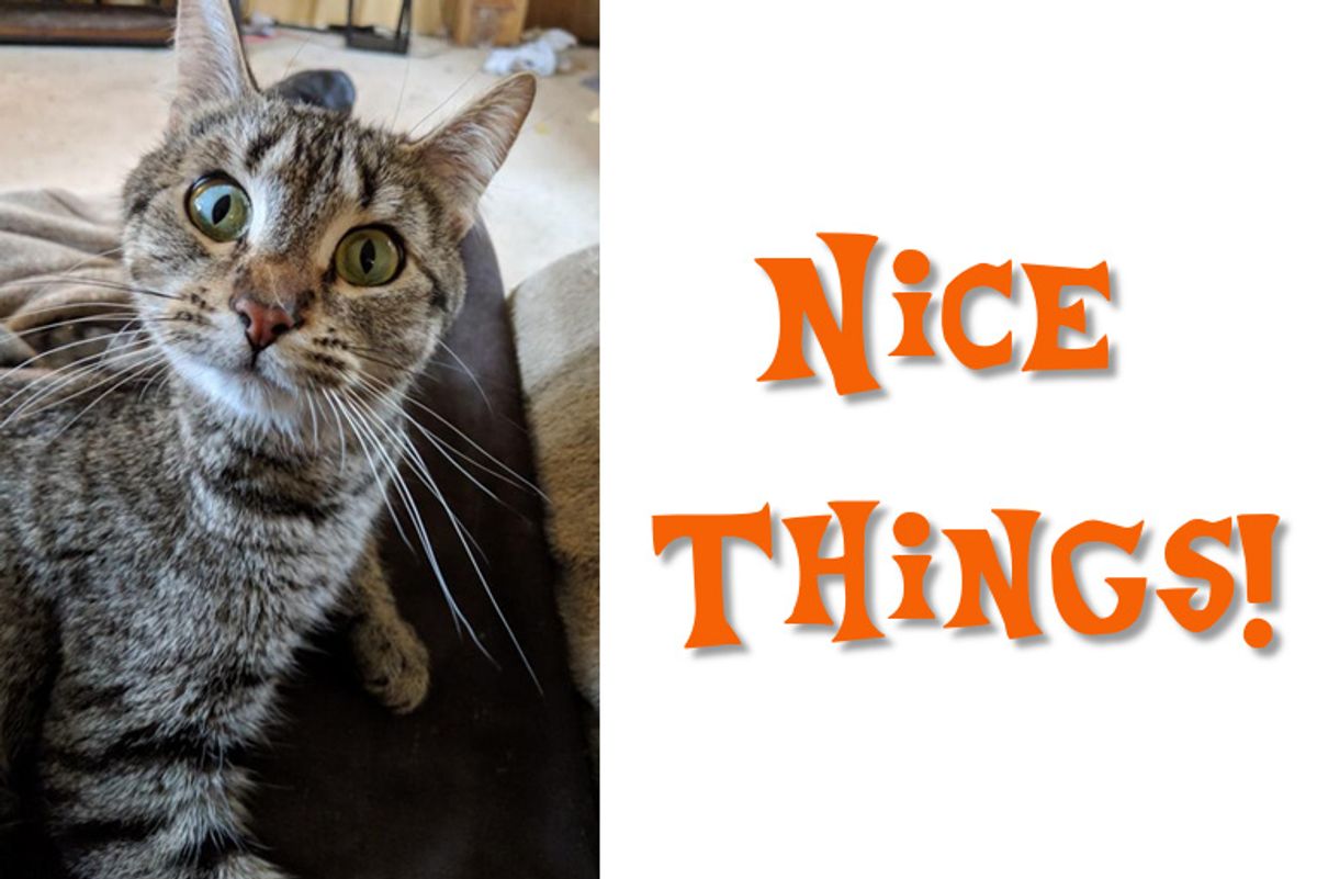 All That Is Nice Things Melts Into Weird
