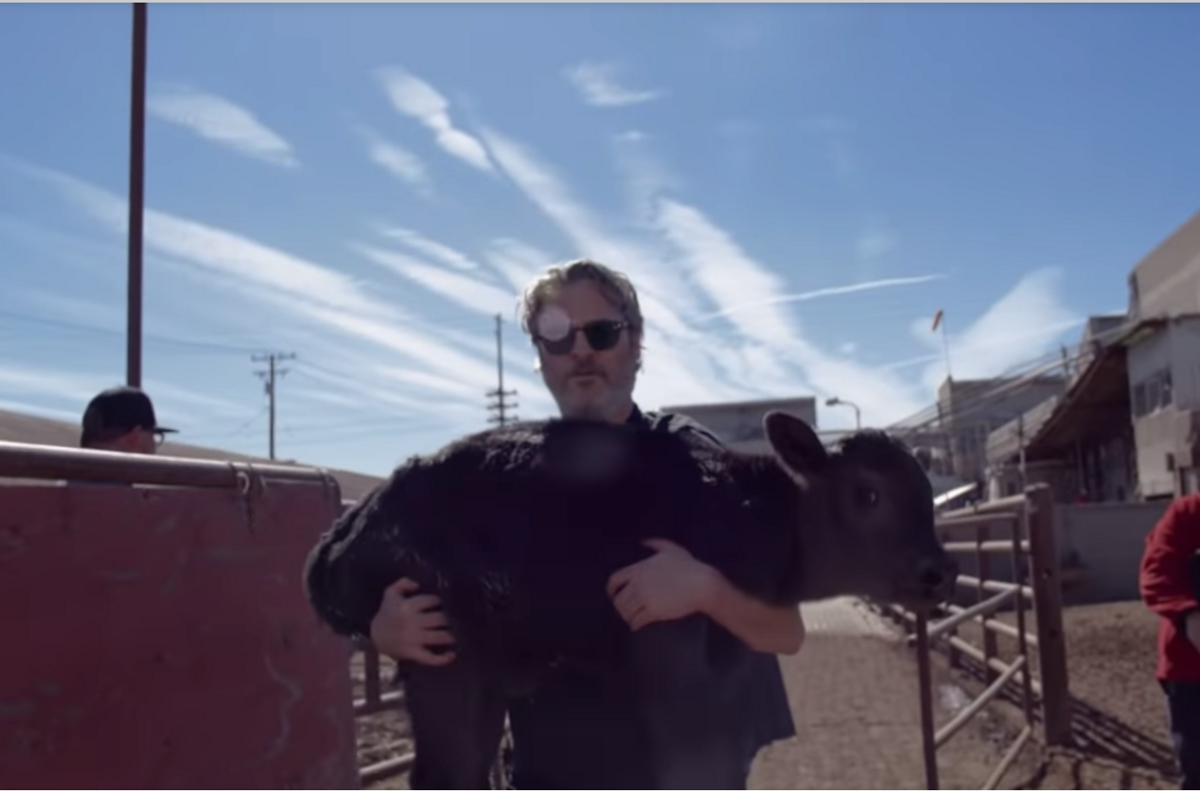 Joaquin Phoenix rescues cow and her calf after 'compassionate talk' with slaughterhouse owner