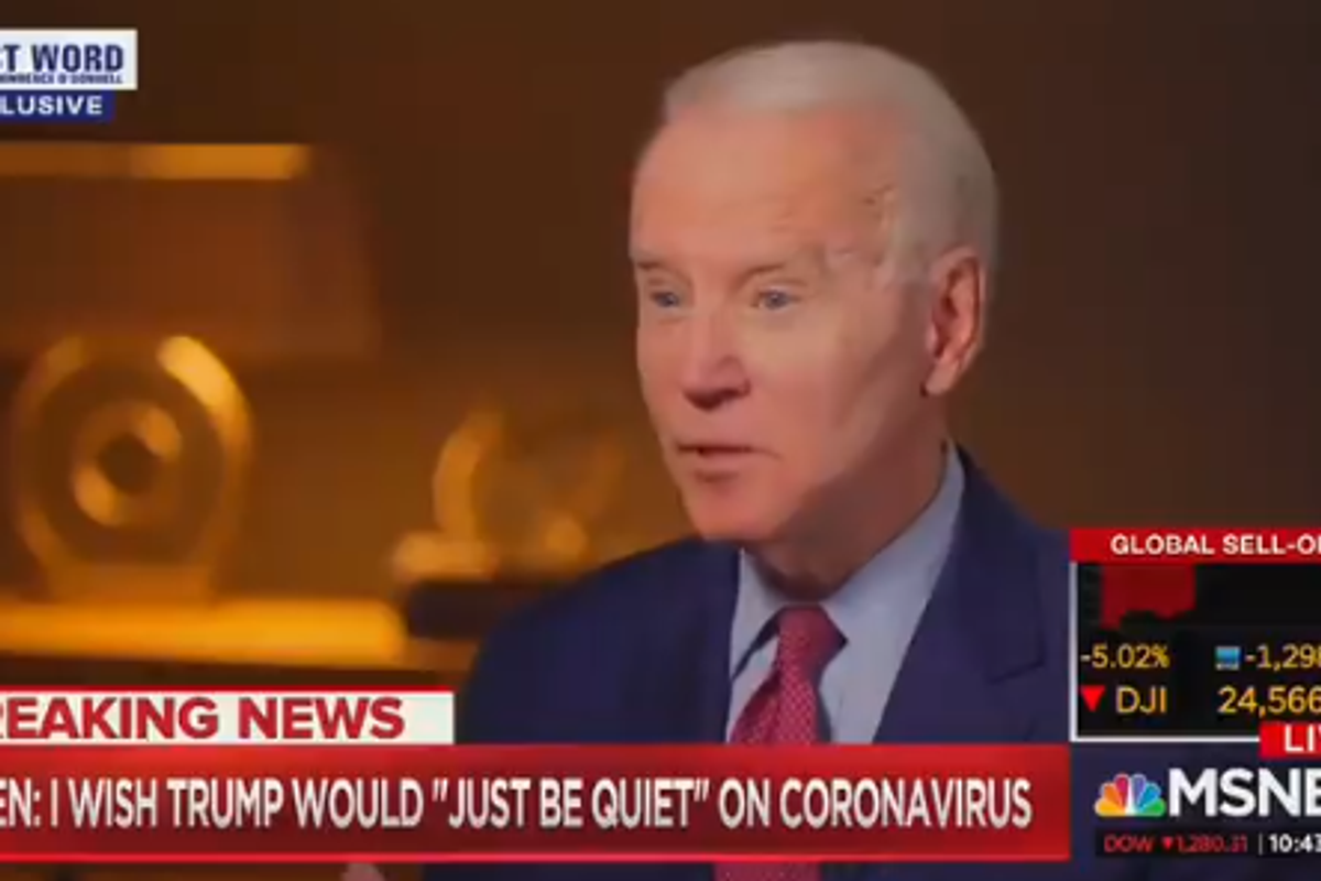 Biden Tells Trump How To Handle Coronavirus Better: How About SHUT THE F*CK UP?