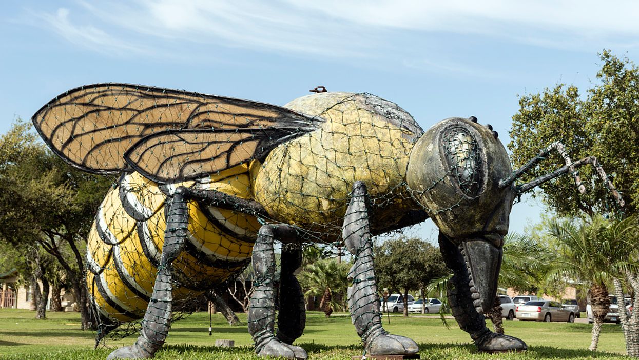 The World's Largest Killer Bee is the mascot for this Texas city