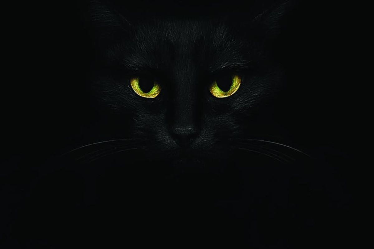 Friday the 13th
