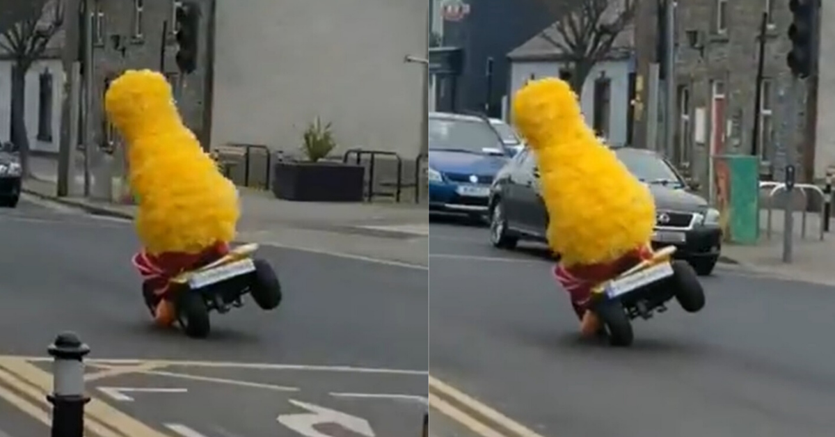 Big Bird Filmed Pulling Wheelies Down The Street In Bizarre St. Patrick's Day Celebration