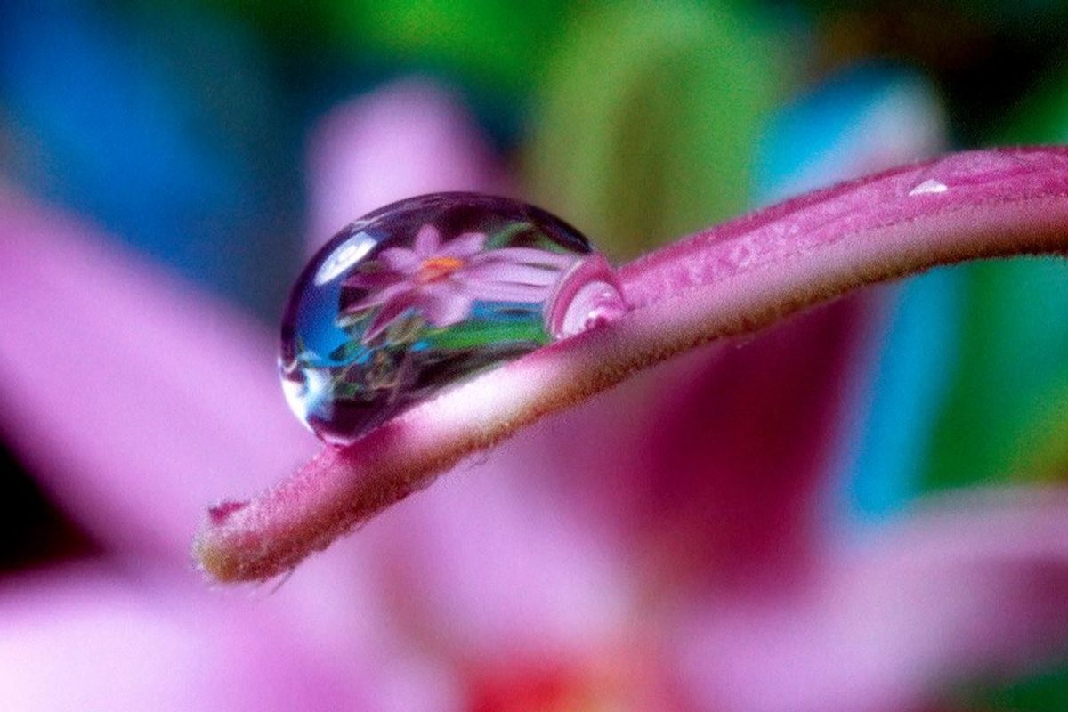 Moving Art: Flowers