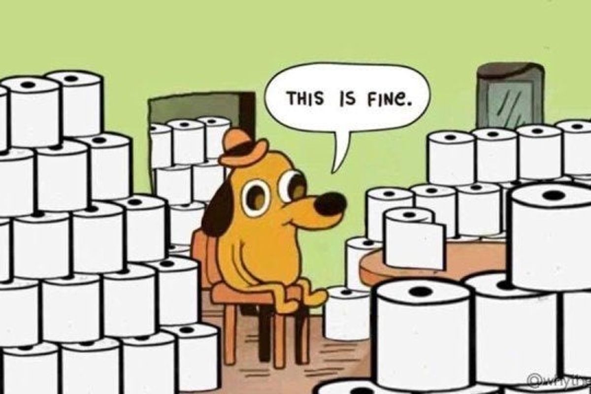 coronavirus toilet paper