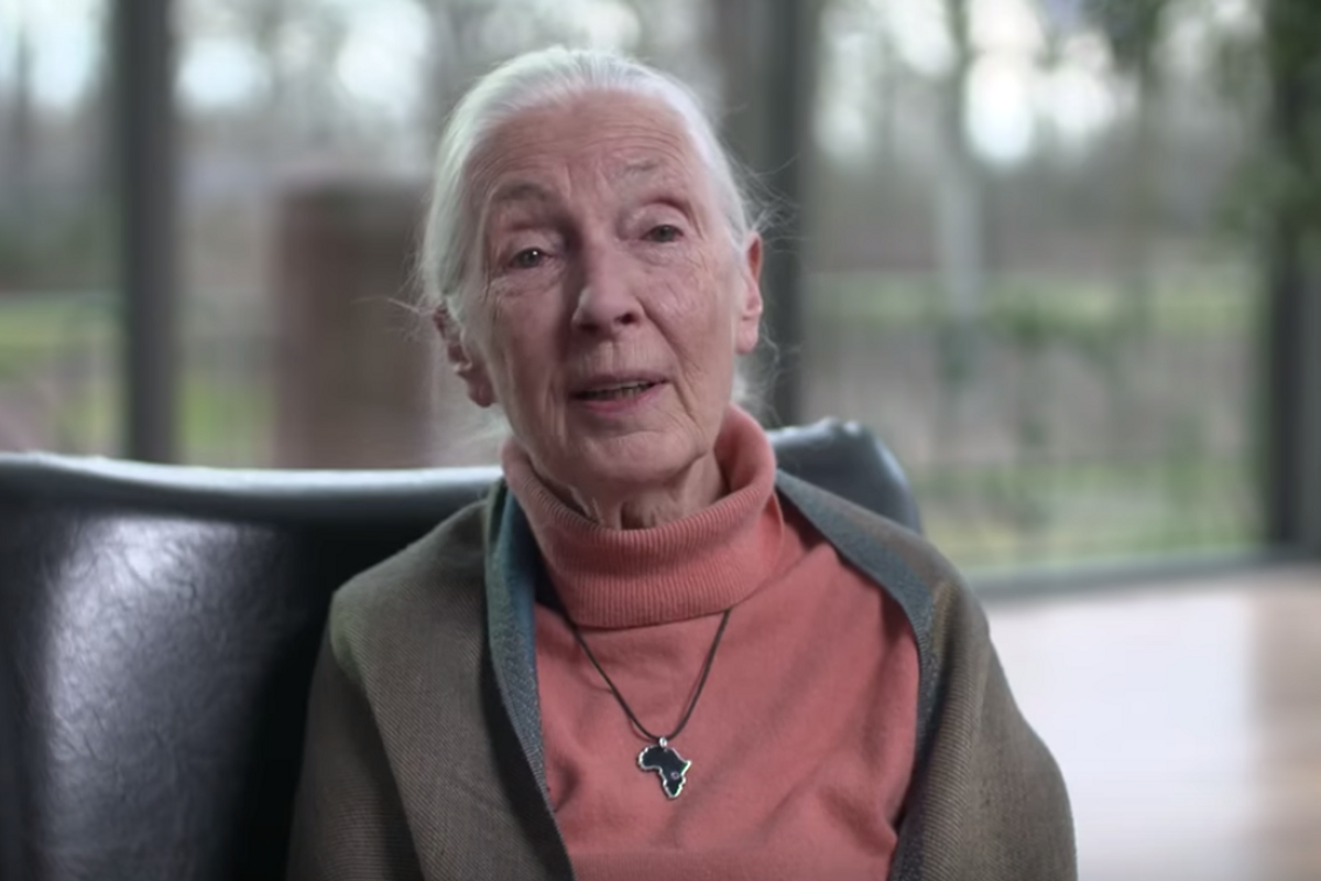 Jane Goodall speaks some hard truths to the people of China about the Coronavirus