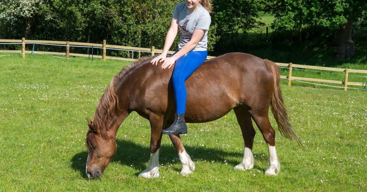 Teen Faces Backlash After Telling Her Overweight Friend She Can't Ride Her Elderly Horse Because She's 'Too Fat'