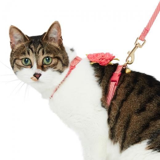 donut cat harness