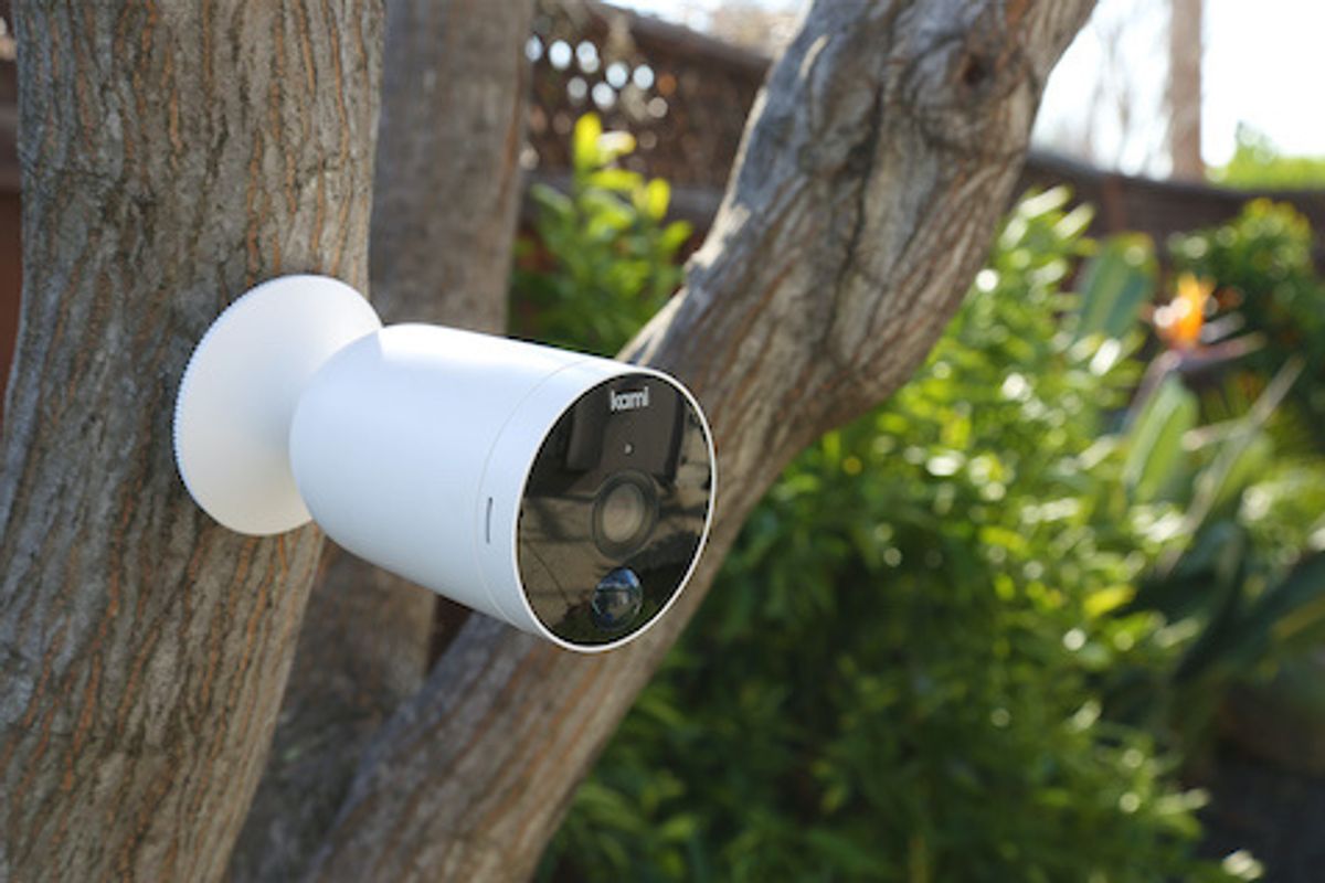 Kami outdoor camera on a tree