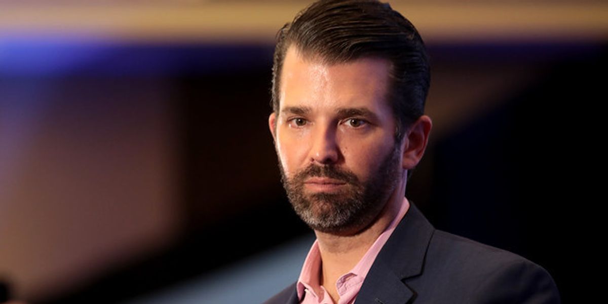 Distraction? Don Jr. Hit Amber Heard As Select Panel Torched Trump - Vimarsana News