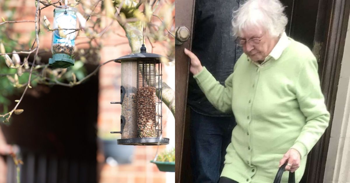 81-Year-Old Woman Tormented Her Neighbors For Years With Her Parrot's Loud Singing, Forced Them To Listen To 'Seven Hours Of Continuous 'Toy Story''