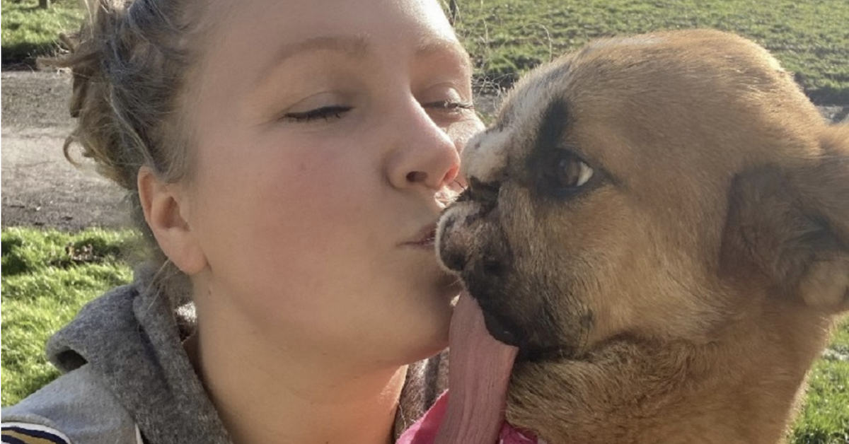 Rescue Dog Who Was Left Severely Disfigured Due To Abuse Finally Gets Her Happily Ever After