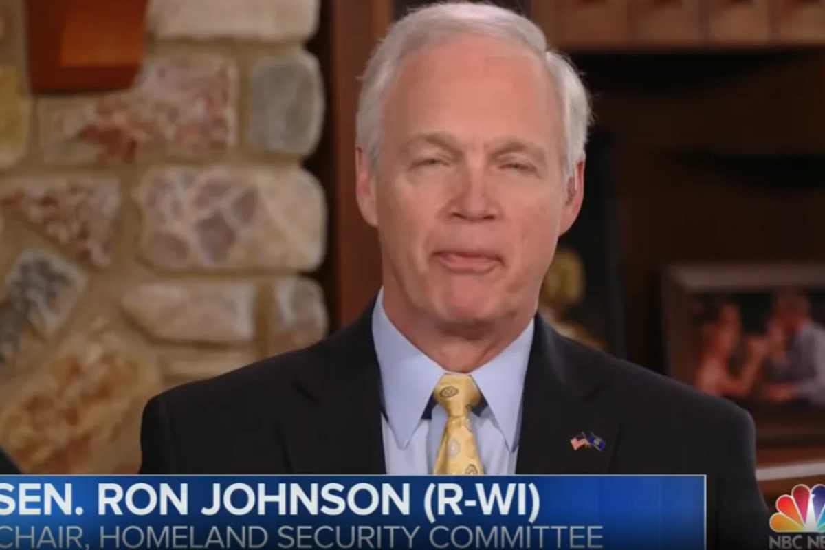Senate's Dumbest Republican: DURRRRRRR TIME FOR INVESTIGATE BIDEN NOW?