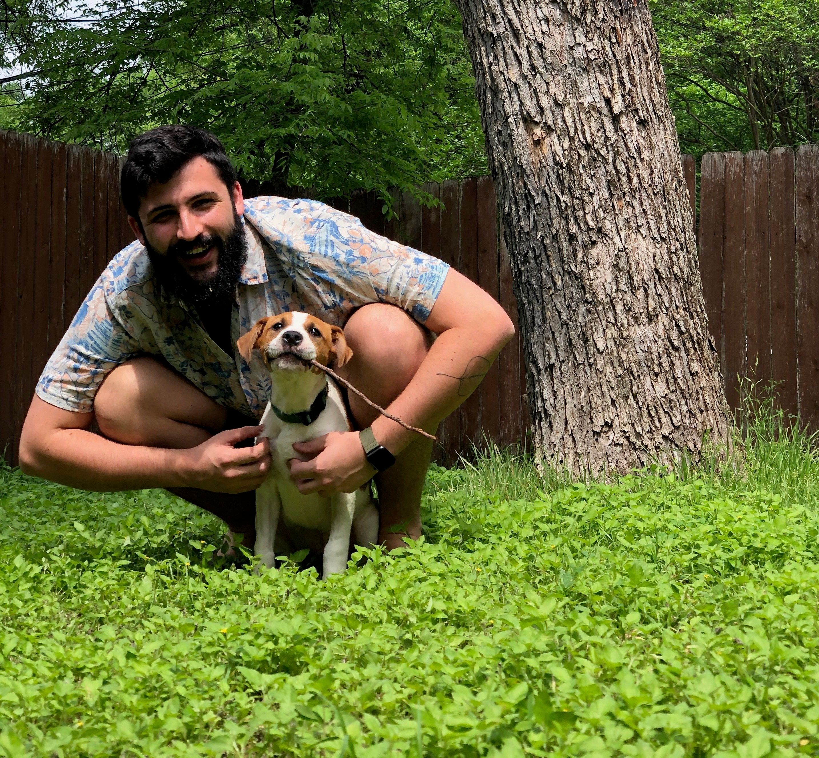mckinney animal shelter closing