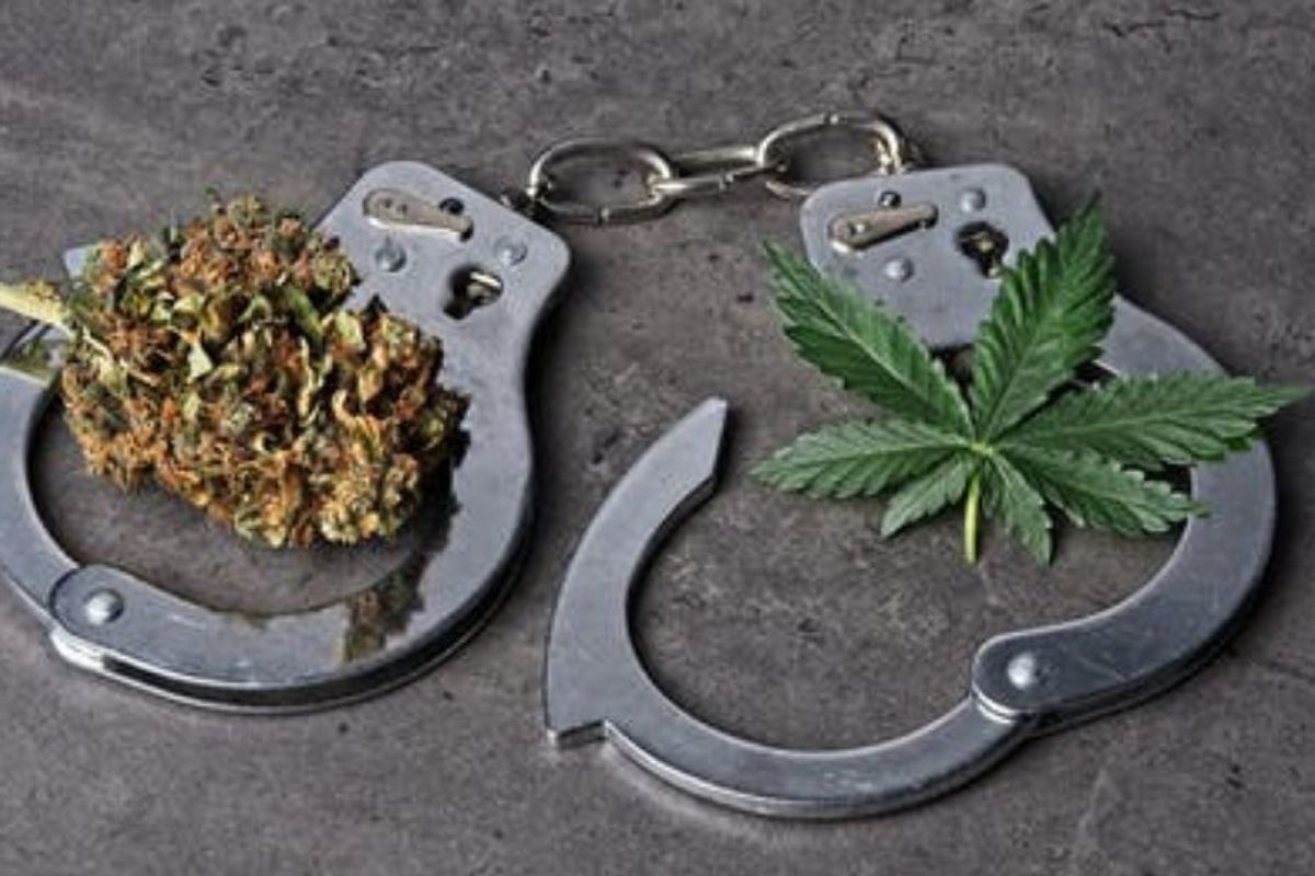 The unintended consequences of marijuana decriminalization
