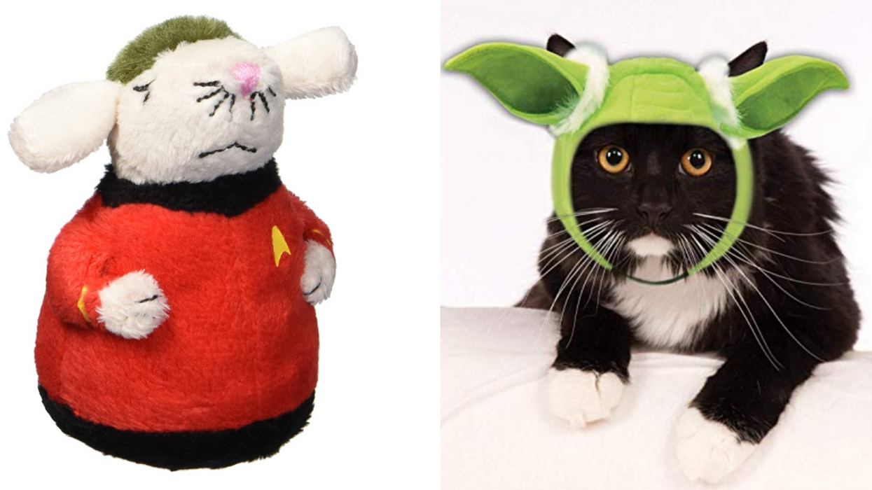 11 Best Sci-Fi Cat Items For Your Kitty