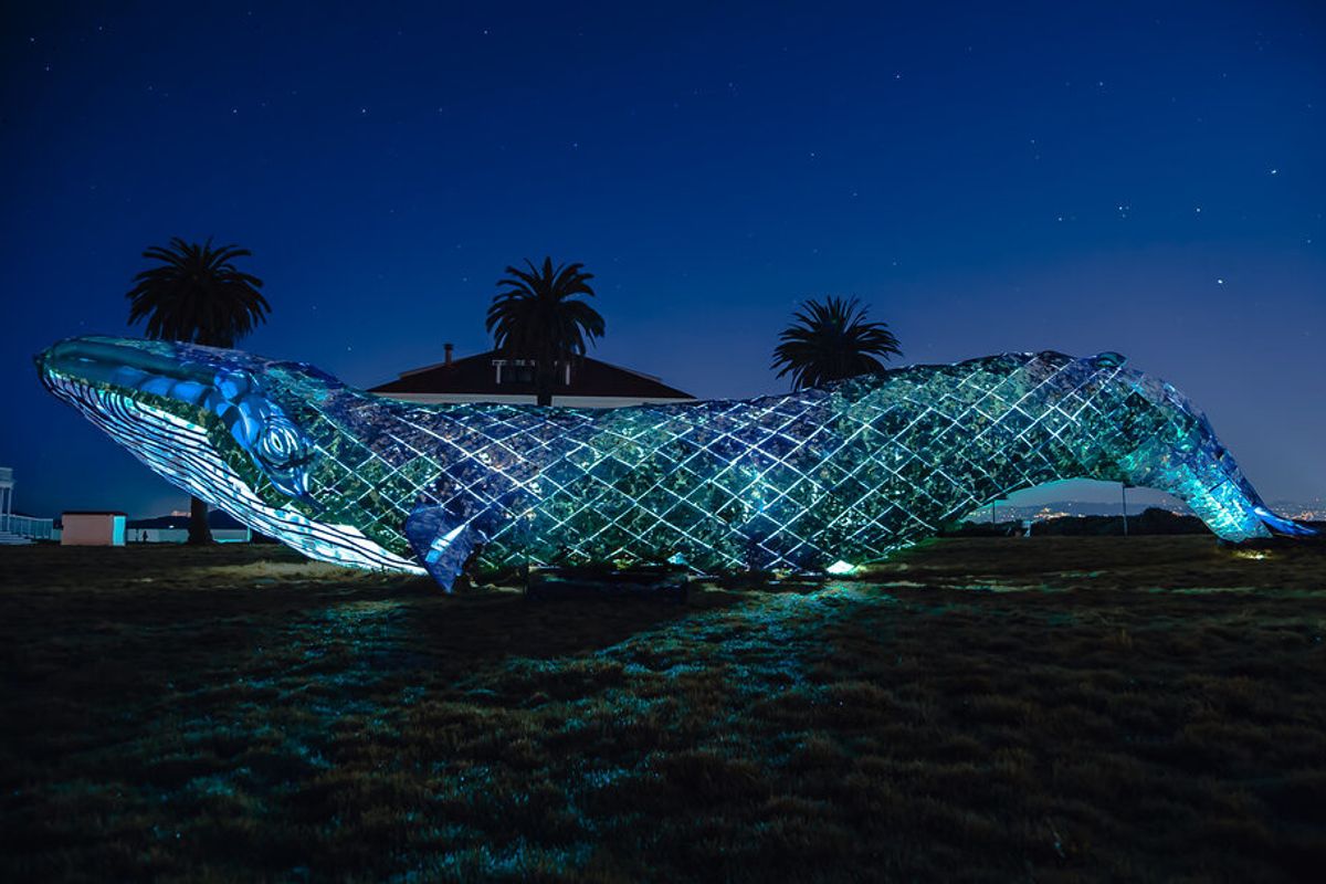 GOOD10 // The Earth Issue // The Art: 'Ethyl' the Whale