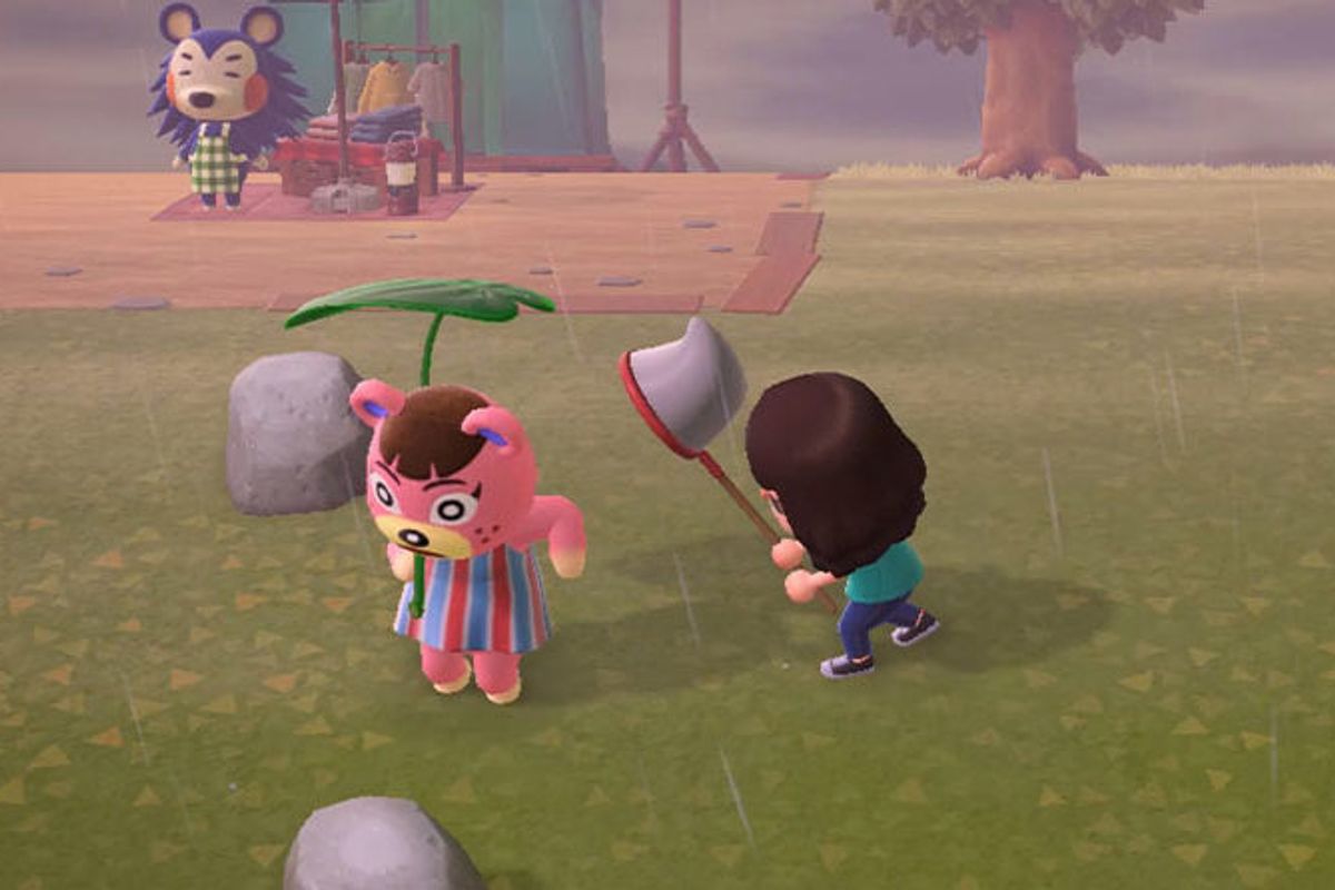 Animal Crossing Net