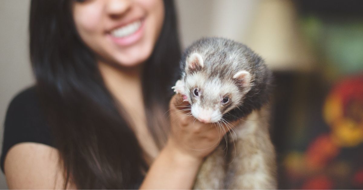 Teen Enraged After Sister Secretly Throws Their Ferret In The Trash Because She Assumed It Was Dead