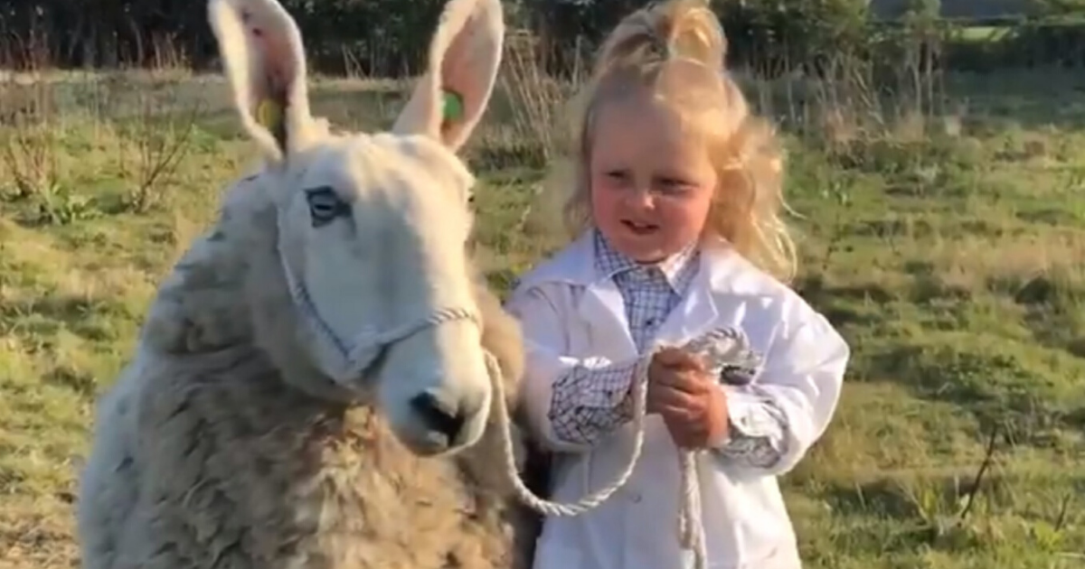 Three-Year-Old Shows Off Her Impressive Sheep-Handling Skills—And, Honestly, It's Better Than We Could Do