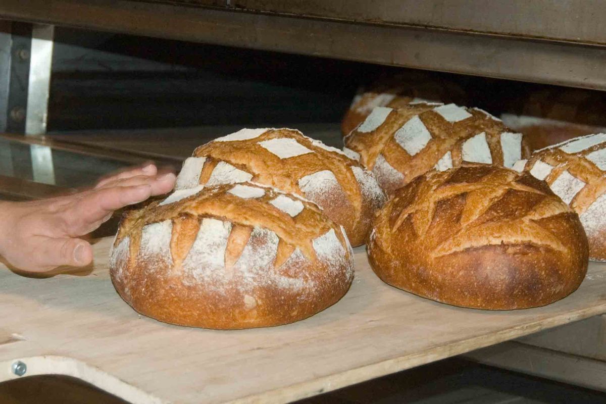 No One Can Bake Bread Anymore Because This Lady Needs All The Yeast For Herself