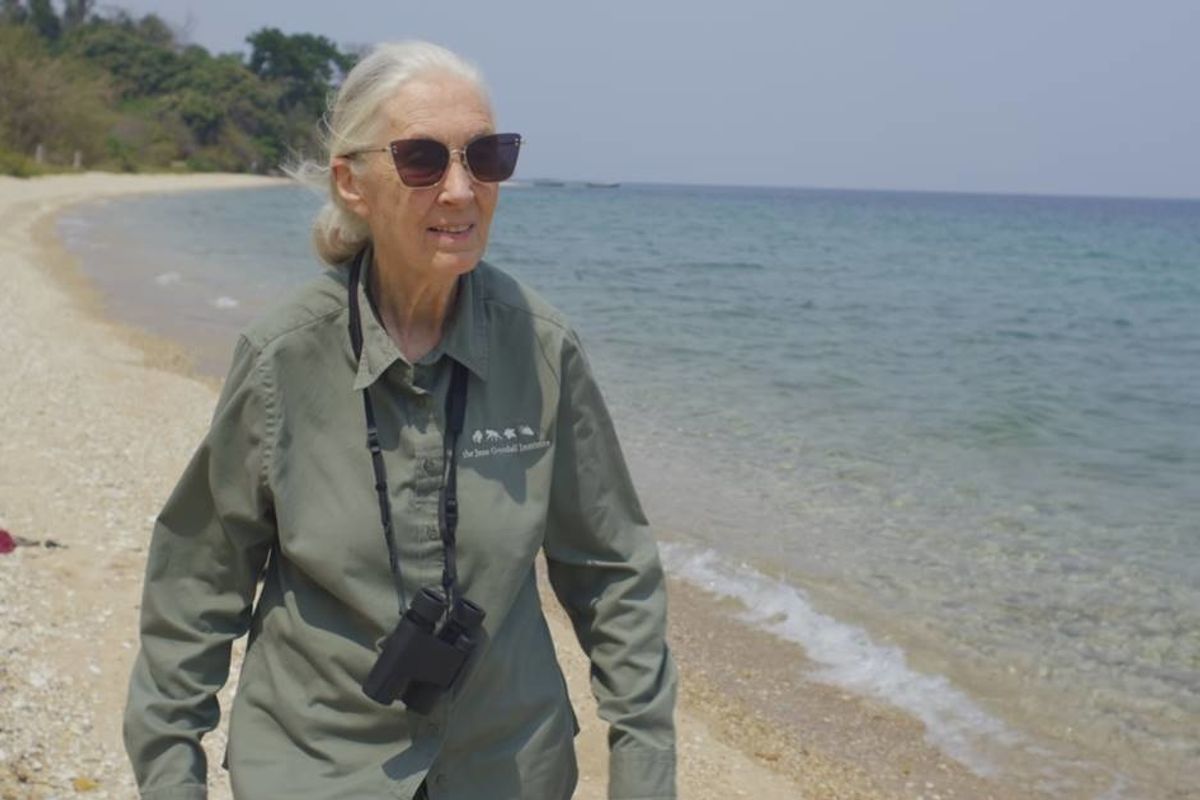 GOOD10 // The Earth Issue // The Activist: Dr. Jane Goodall