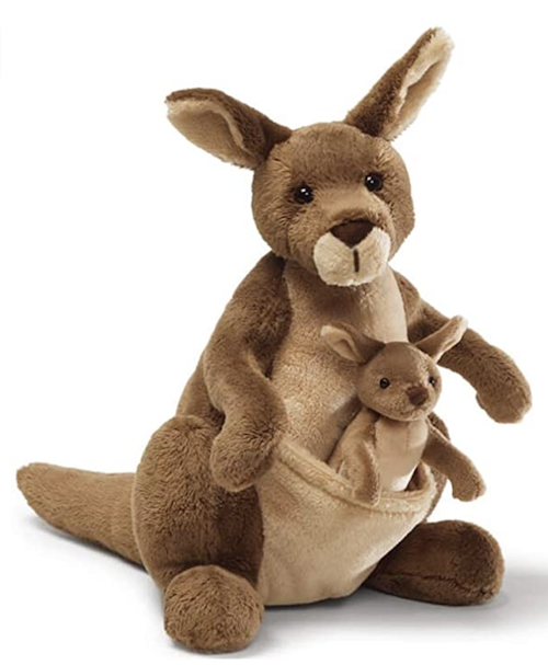 Video Showing What The Inside Of A Kangaroo's Pouch Actually Looks Like