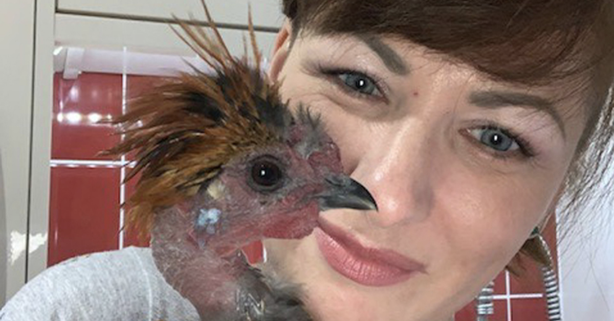 Savvy Mom Dubbed The 'Crazy Chicken Lady' Uses Money Earned From Online Questionnaires To Rescue Chickens