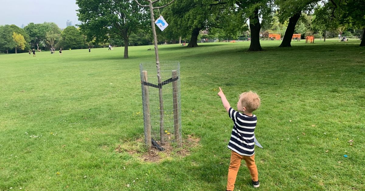 Family Sparks Lockdown Craze By Hiding Pokémon In Local Park For Kids To Hunt For