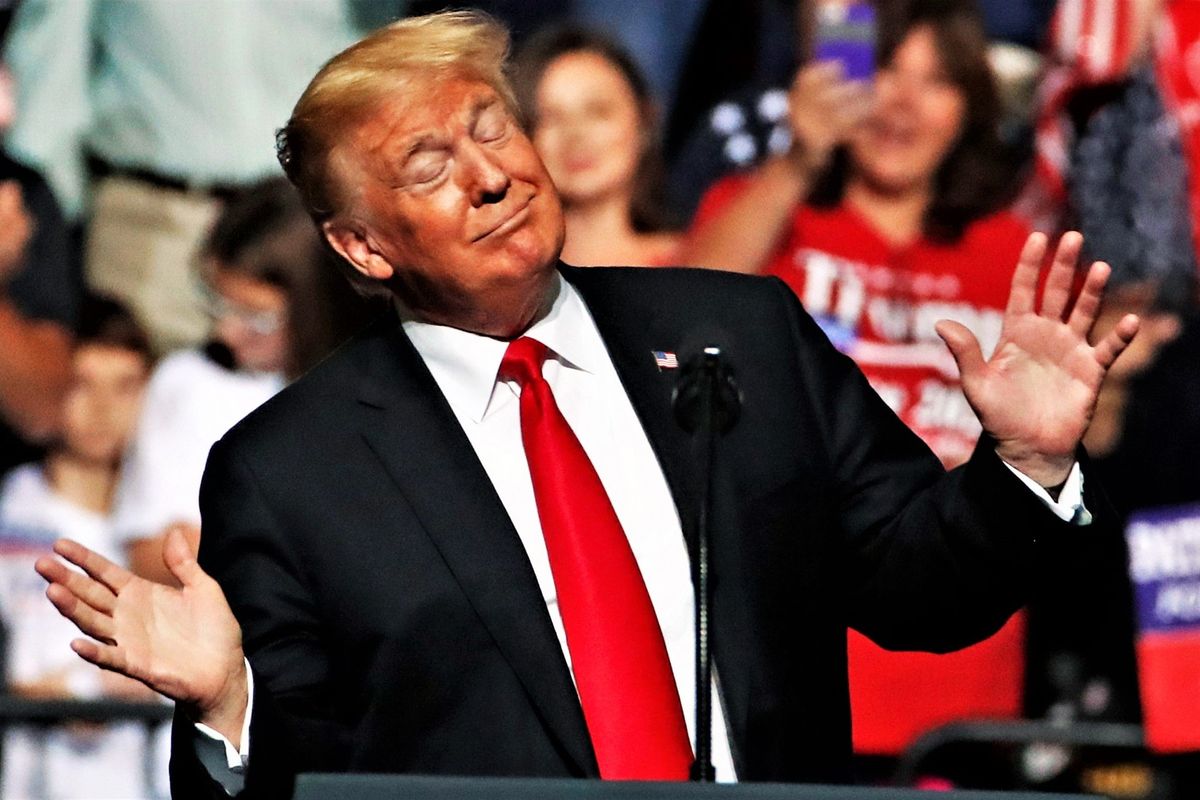 trump amazing